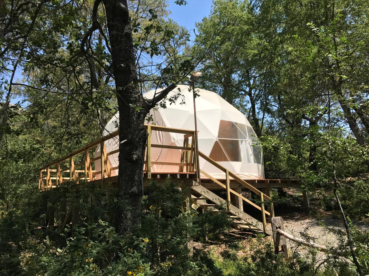 Glamping Domos Treepod Ξενοδοχείο Las Trancas Εξωτερικό φωτογραφία