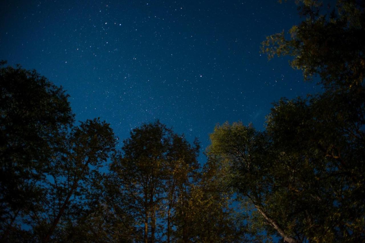 Glamping Domos Treepod Ξενοδοχείο Las Trancas Εξωτερικό φωτογραφία